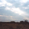 Africa - cattle post