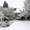 Snowy Home